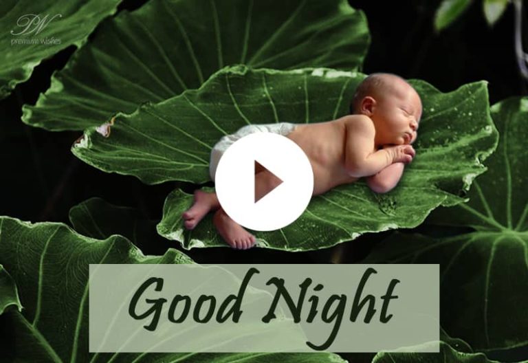 Good Night Wishes – Cute Video Of Good Night Messages Good Night Wishes – Cute Video Of Good Night Messages