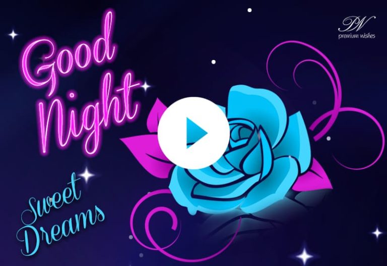 Good Night Video – Good Night Whatsapp Status Video