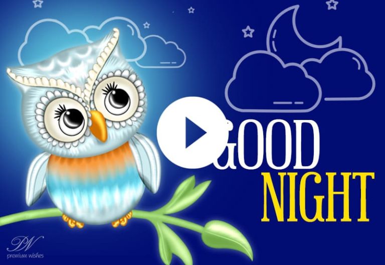 Cute Good Night Video – Cute Good Night Whatsapp Status
