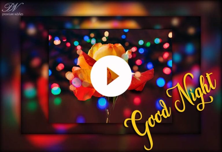 Good Night Roses – Whatsapp Status