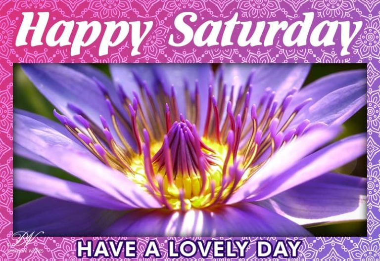 Happy Saturday – Have a lovely Saturday and Stay Safe