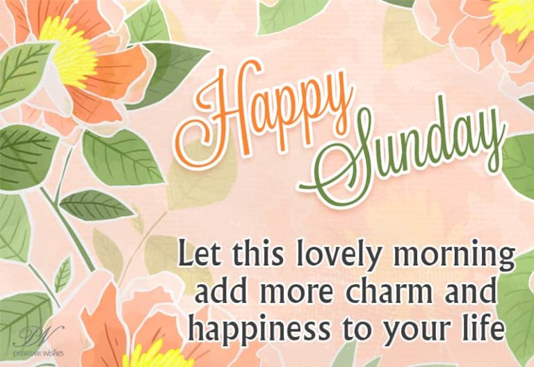 Happy Sunday – Let this lovely morning add more charm and happiness to your life Happy Sunday – Let this lovely morning add more charm and happiness to your life