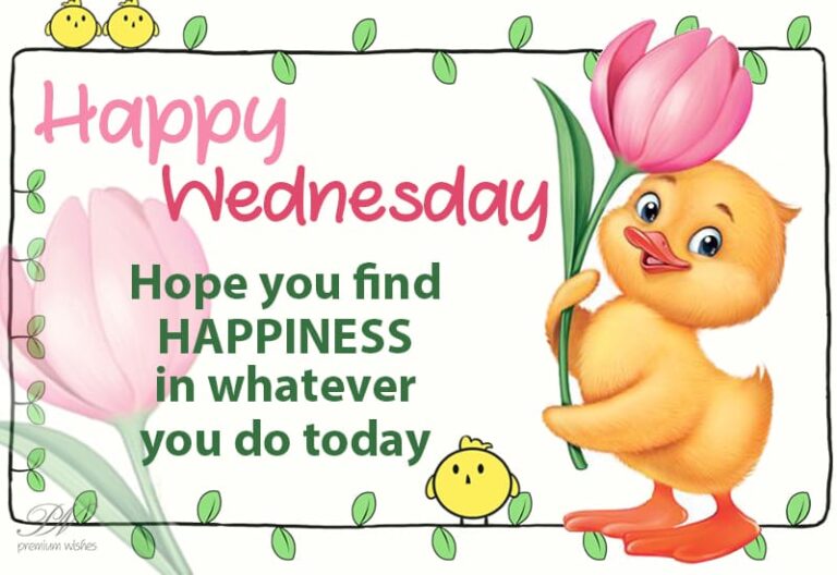 Happy Wednesday – Hope you find happiness in whatever you do today