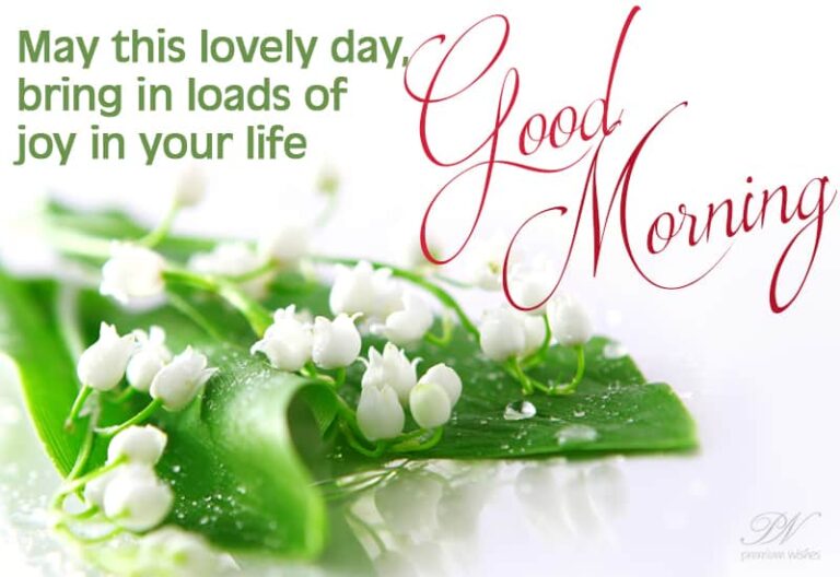 Good Morning – May this lovely day bring loads of joy in your life