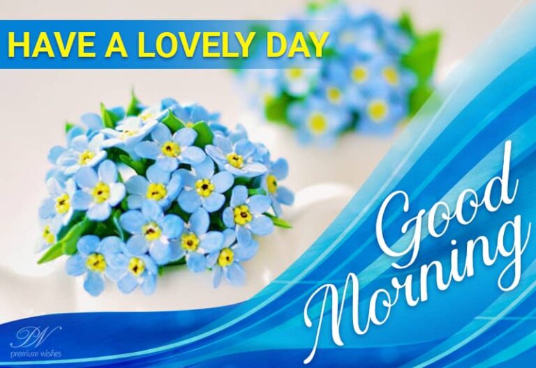 Good Morning – have a lovely day amongst nature and the sun Good Morning – have a lovely day amongst nature and the sun