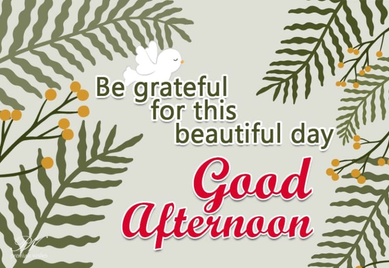 Good Afternoon – Be grateful for this beautiful day