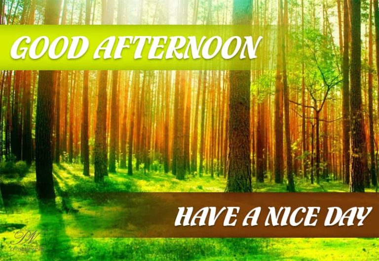 Good Afternoon Wishes