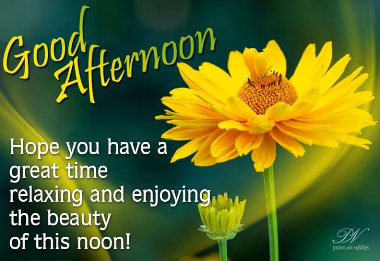 Good Afternoon Wishes