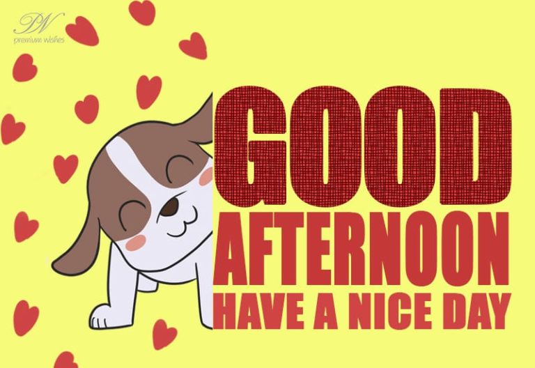 Good Afternoon Wishes