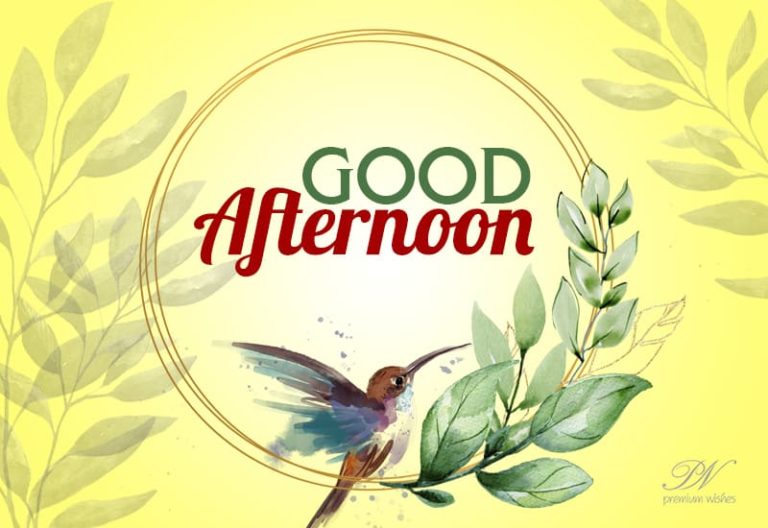 Good Afternoon Wishes