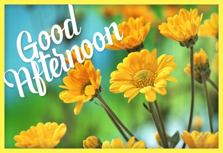 Good Afternoon Wishes