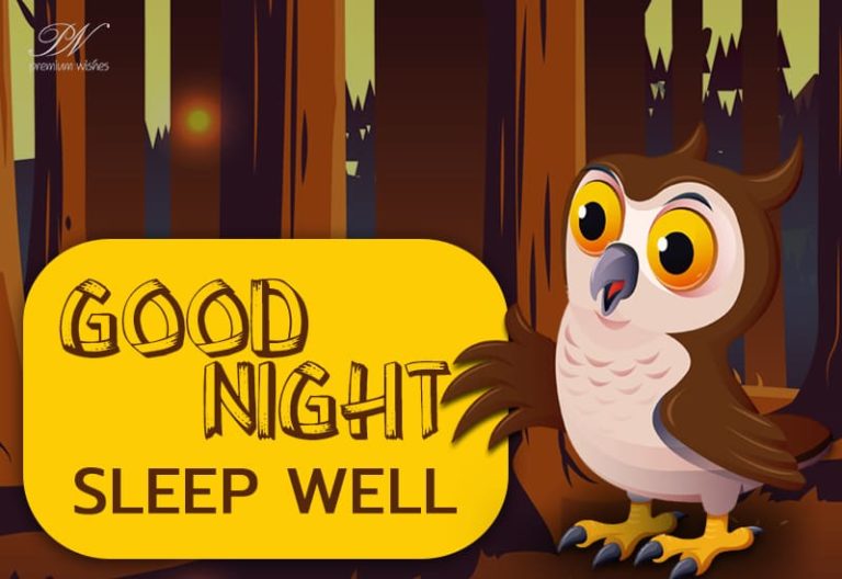 Good Night Wishes