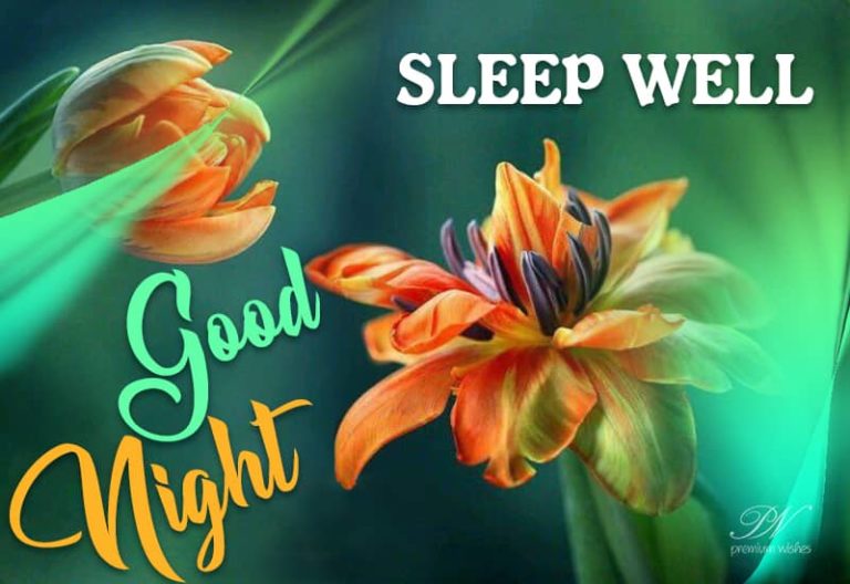 Good Night Wishes