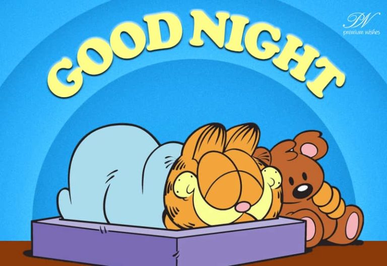 Good Night Wishes