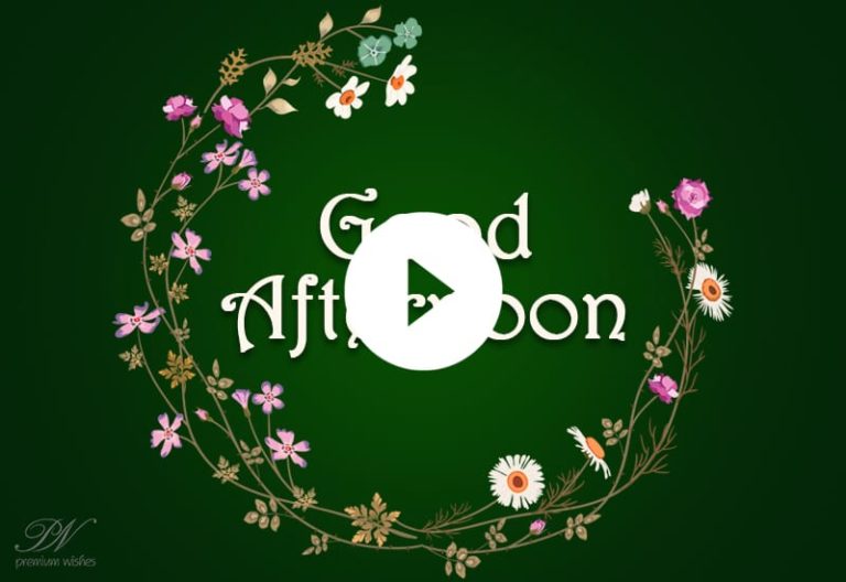 Good Afternoon Whatsapp Status , Noon Video Greetings and Wishes