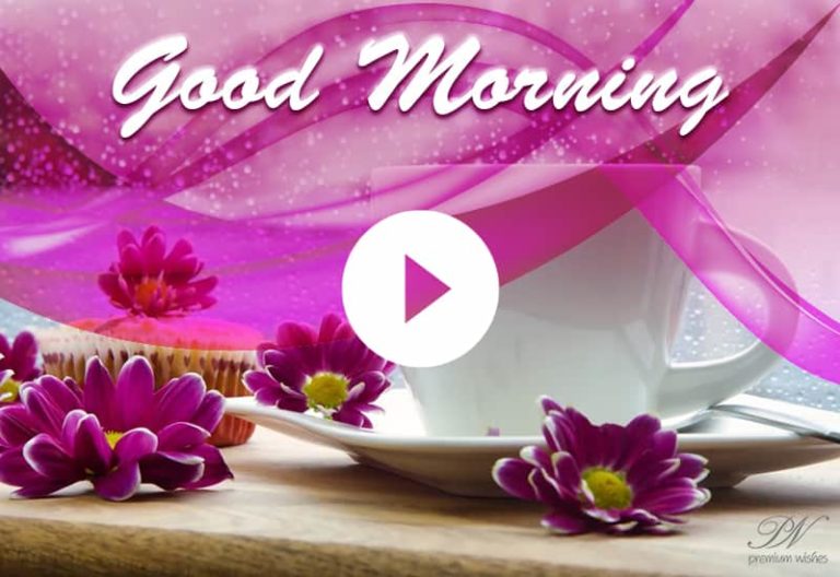 Good Morning Tea Greetings – Tea for you – Good Morning with Tea – Video Good Morning Tea Greetings – Tea for you – Good Morning with Tea – Video