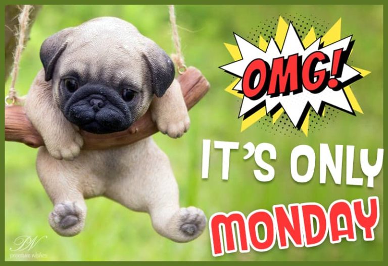 Oh My God! It is only Monday