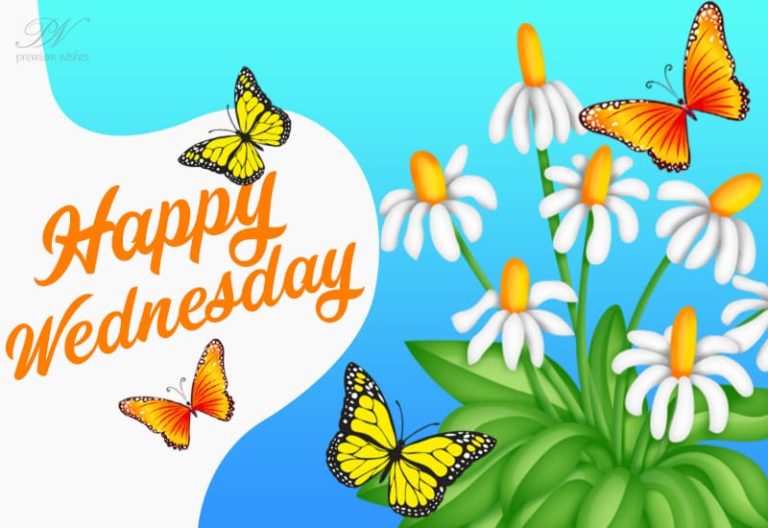 Happy Wednesday! Fly in the plane of ambition and land in success Happy Wednesday! Fly in the plane of ambition and land in success