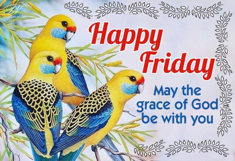 Happy Friday – May the grace of God be with you Happy Friday – May the grace of God be with you