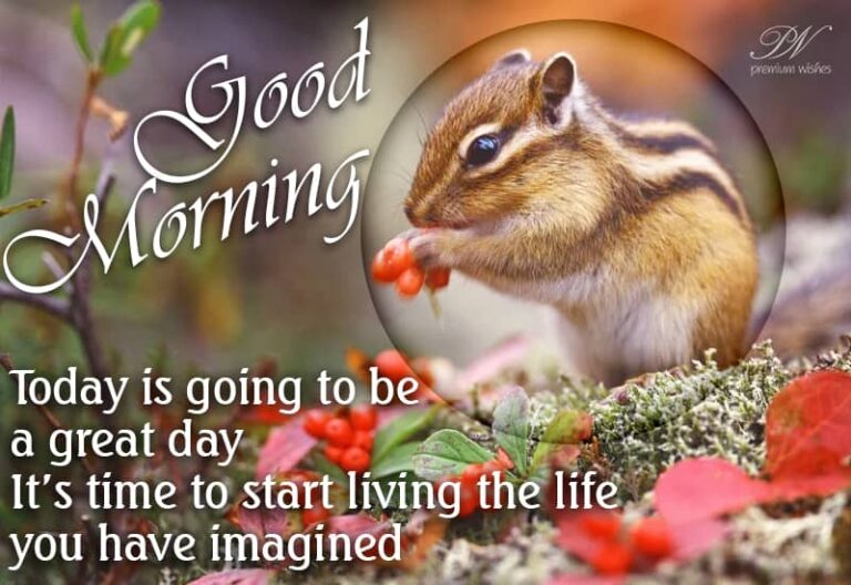 Good Morning – Today is going to be a great day. It is time to start living the life you imagined Good Morning – Today is going to be a great day. It is time to start living the life you imagined