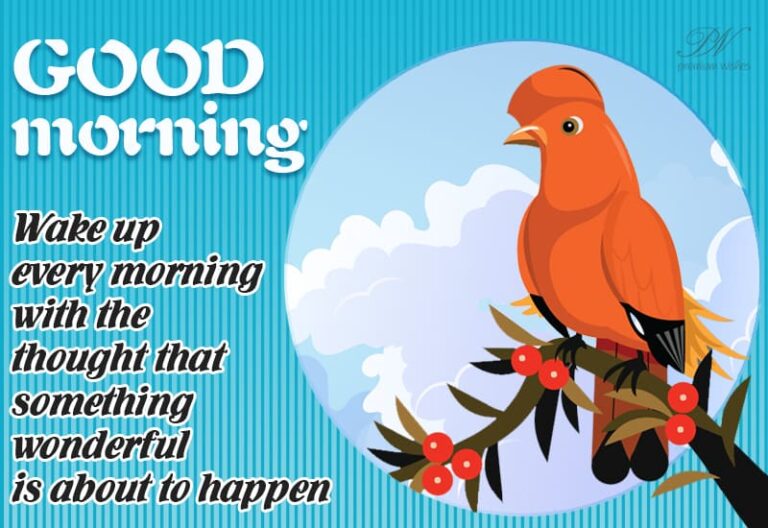 Good Morning – Wake up every morning with the thought that something wonderful is about to happen