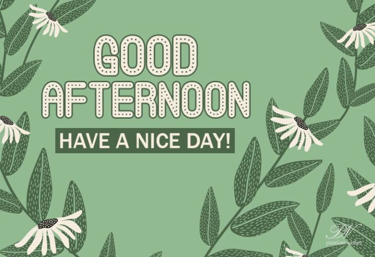 Good Afternoon Wishes