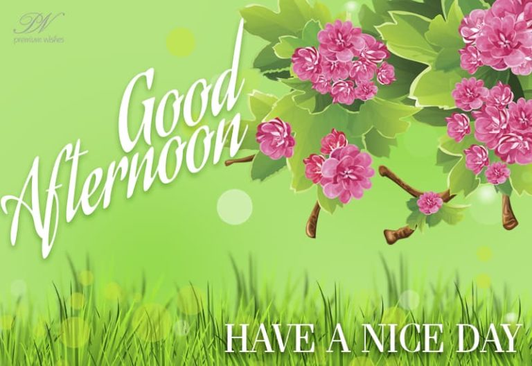 Good Afternoon Wishes