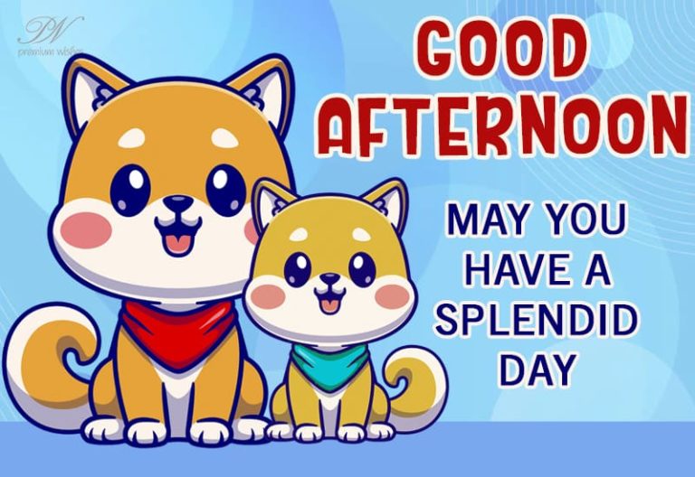 Good Afternoon Wishes