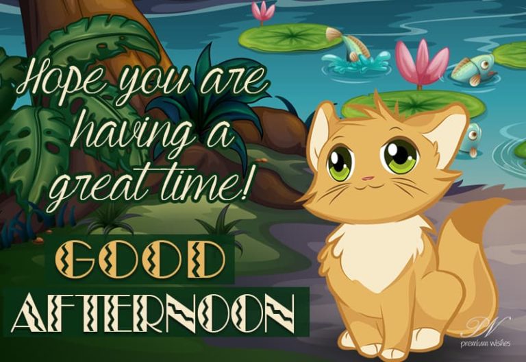 Good Afternoon Wishes
