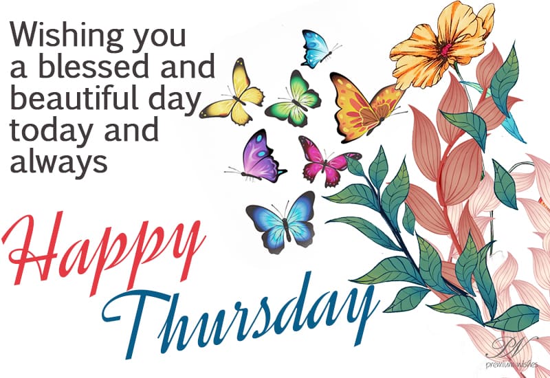 Happy Thursday Morning: Greetings and Blessings Good Morning, Happy Thursday!