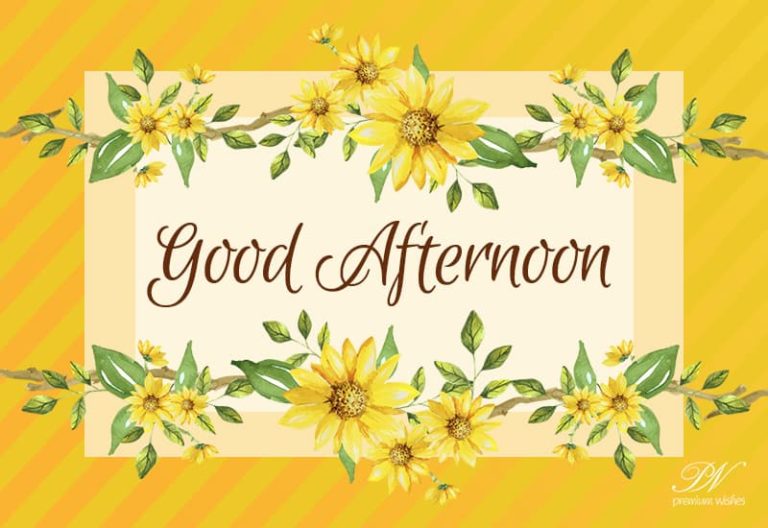 Good Afternoon Wishes