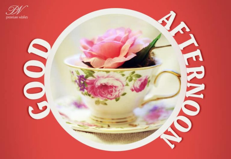 Good Afternoon Wishes