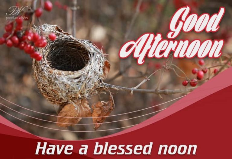 Good Afternoon Wishes
