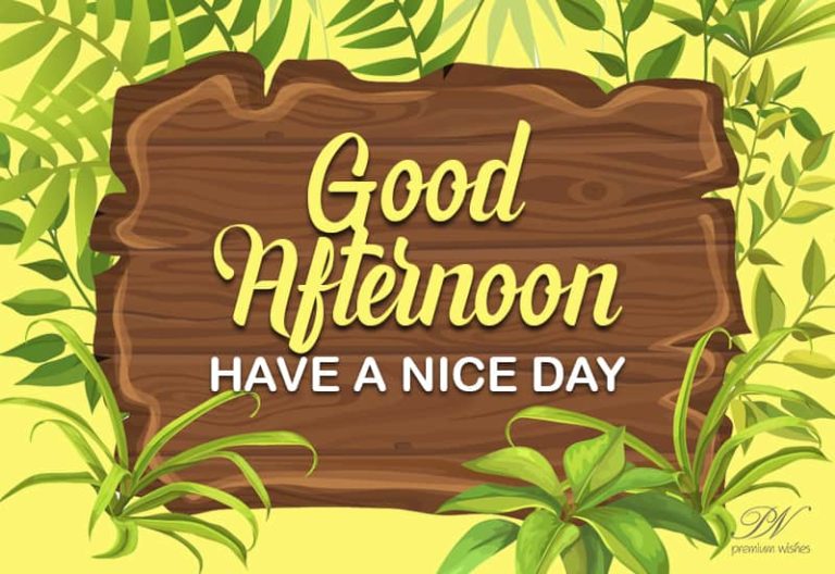 Good Afternoon Wishes
