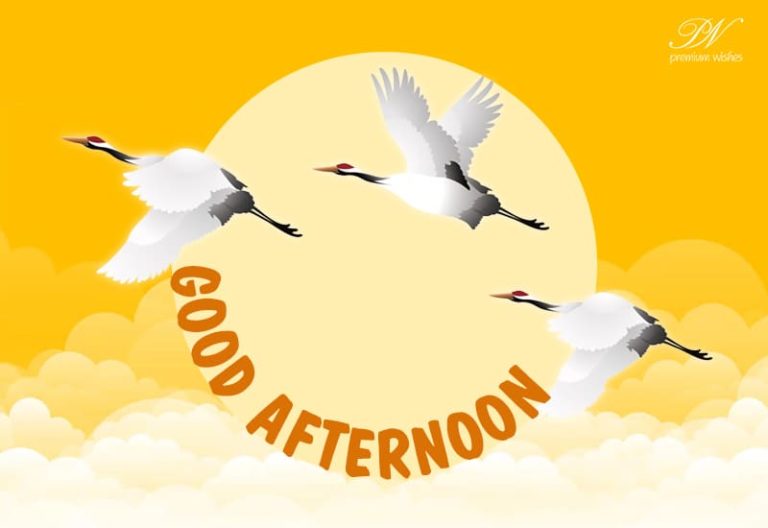 Good Afternoon Wishes