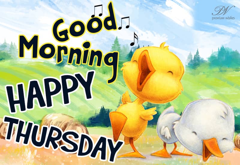 Happy Thursday Morning: Greetings and Blessings Good Morning, Happy Thursday!