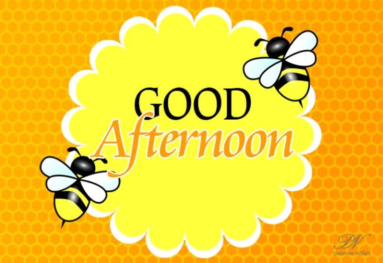 Good Afternoon Wishes