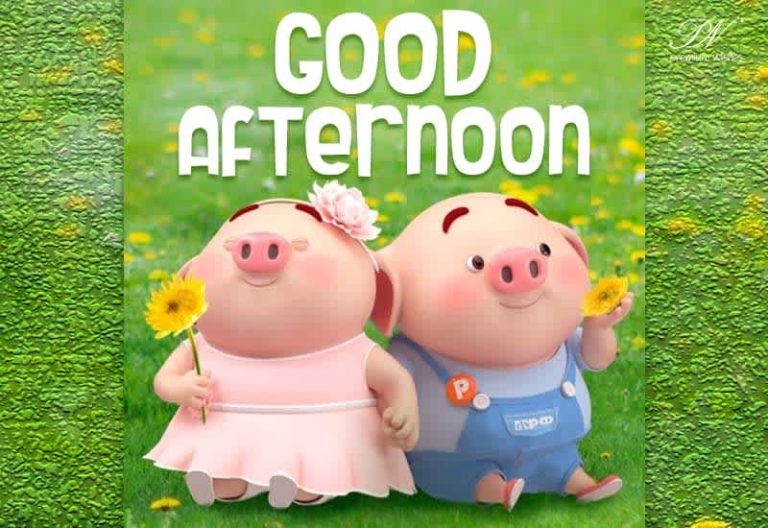 Good Afternoon Wishes