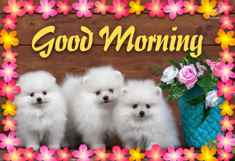 Good Morning – Enjoy your day with your friends