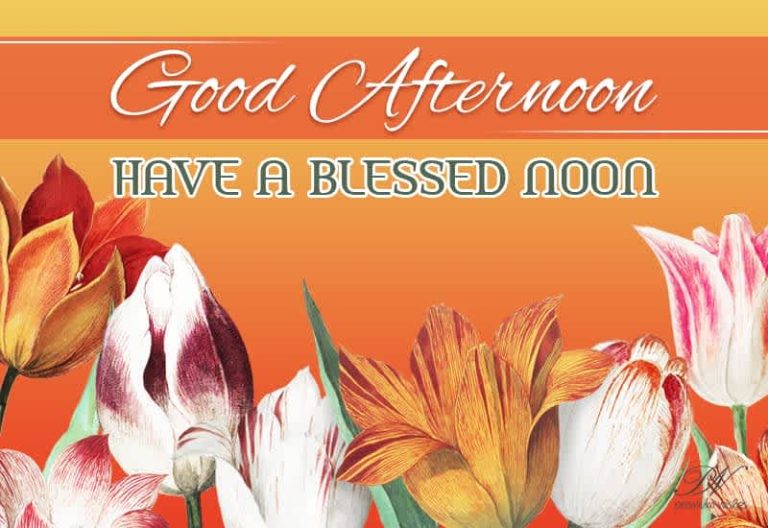 Good Afternoon Wishes