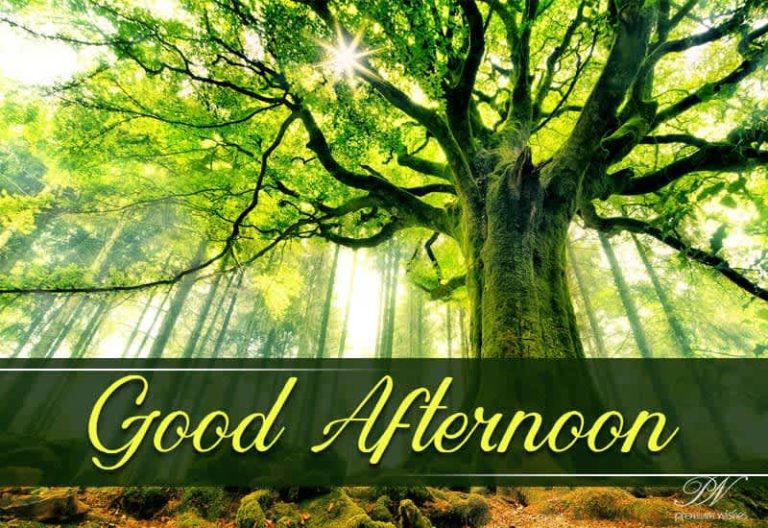 Good Afternoon Wishes