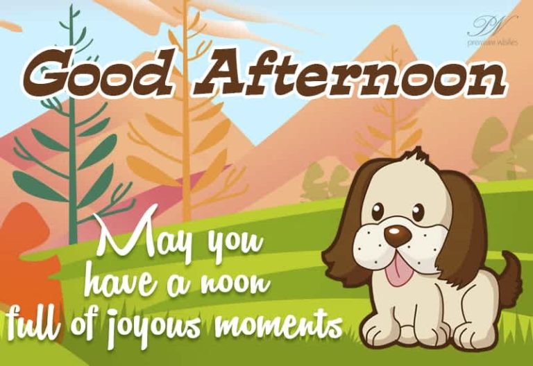 Good Afternoon Wishes