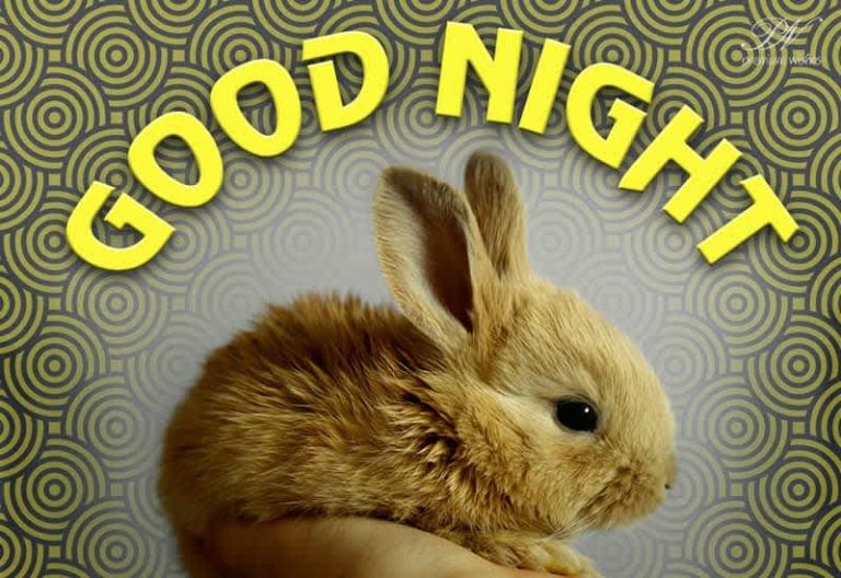 Good Night Wishes