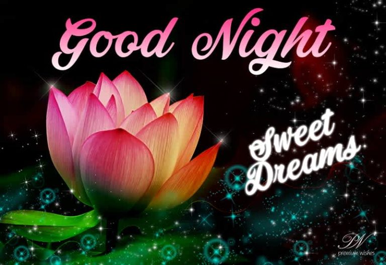 Good Night Wishes