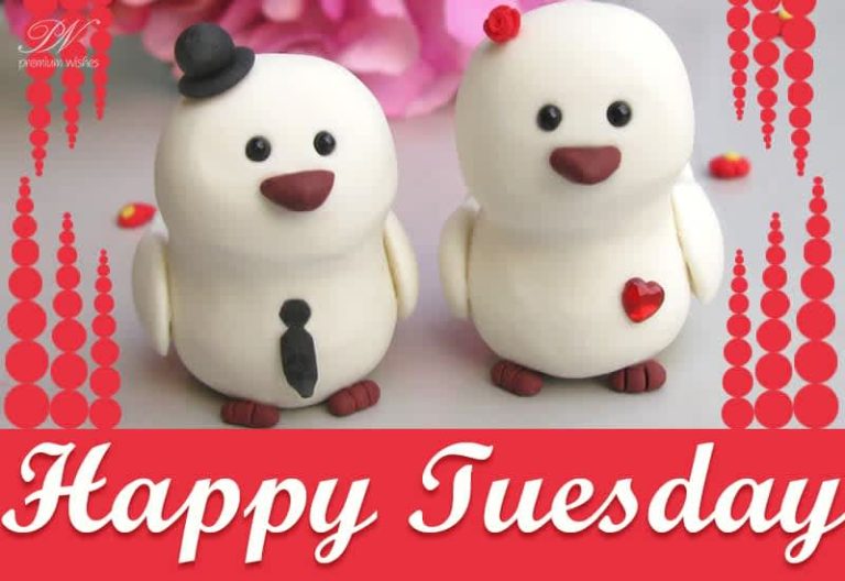 Happy Tuesday – Enjoy with friends and family