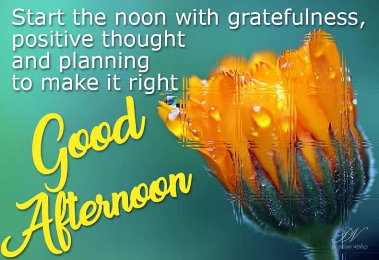 Good Afternoon Wishes