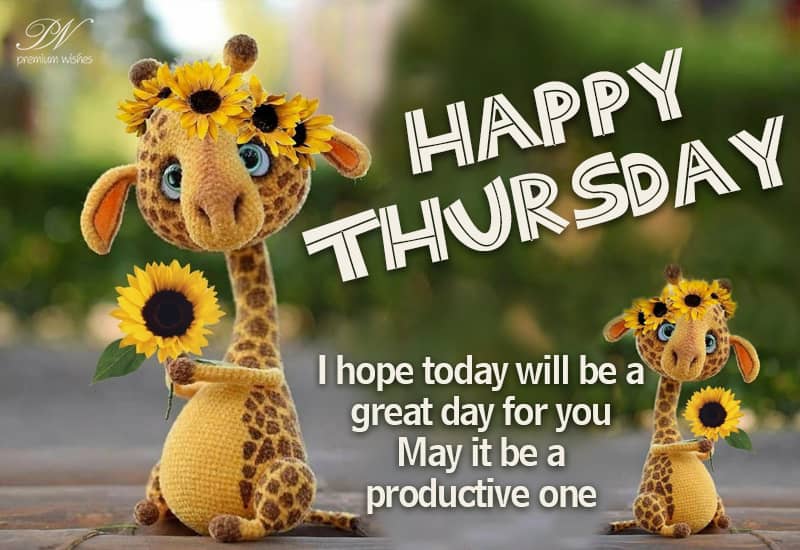Happy Thursday Morning: Greetings and Blessings Good Morning, Happy Thursday!