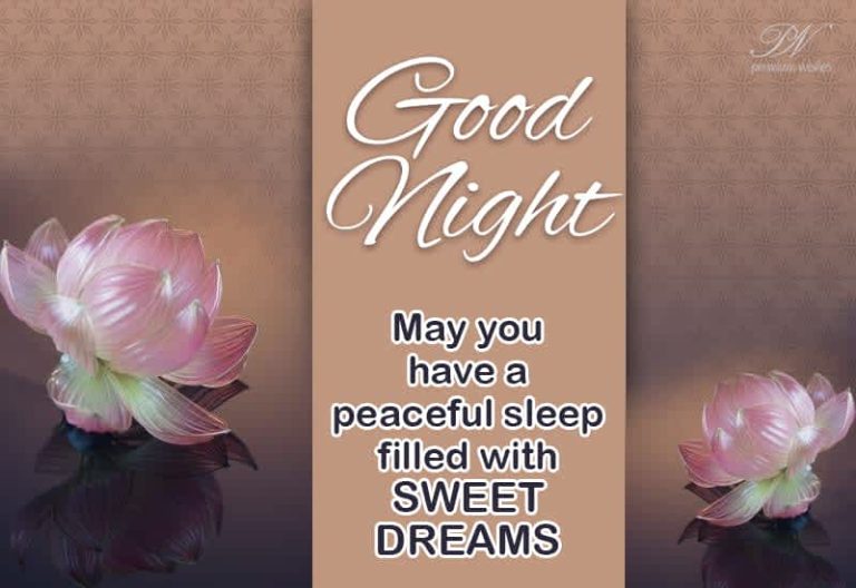 Good Night Wishes