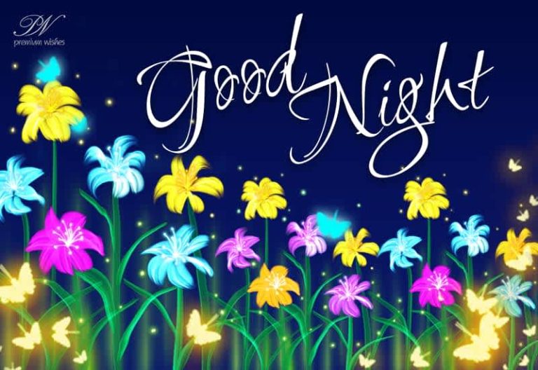 Good Night Wishes
