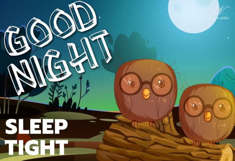 Good Night Wishes